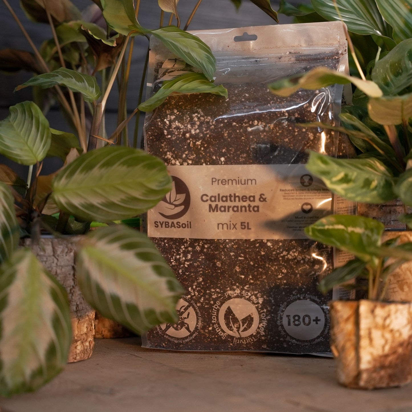 Pack spécial jungle tropicale DIY