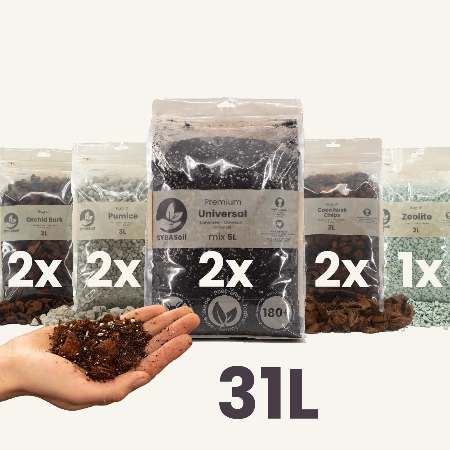 Pack spécial aroïdes DIY