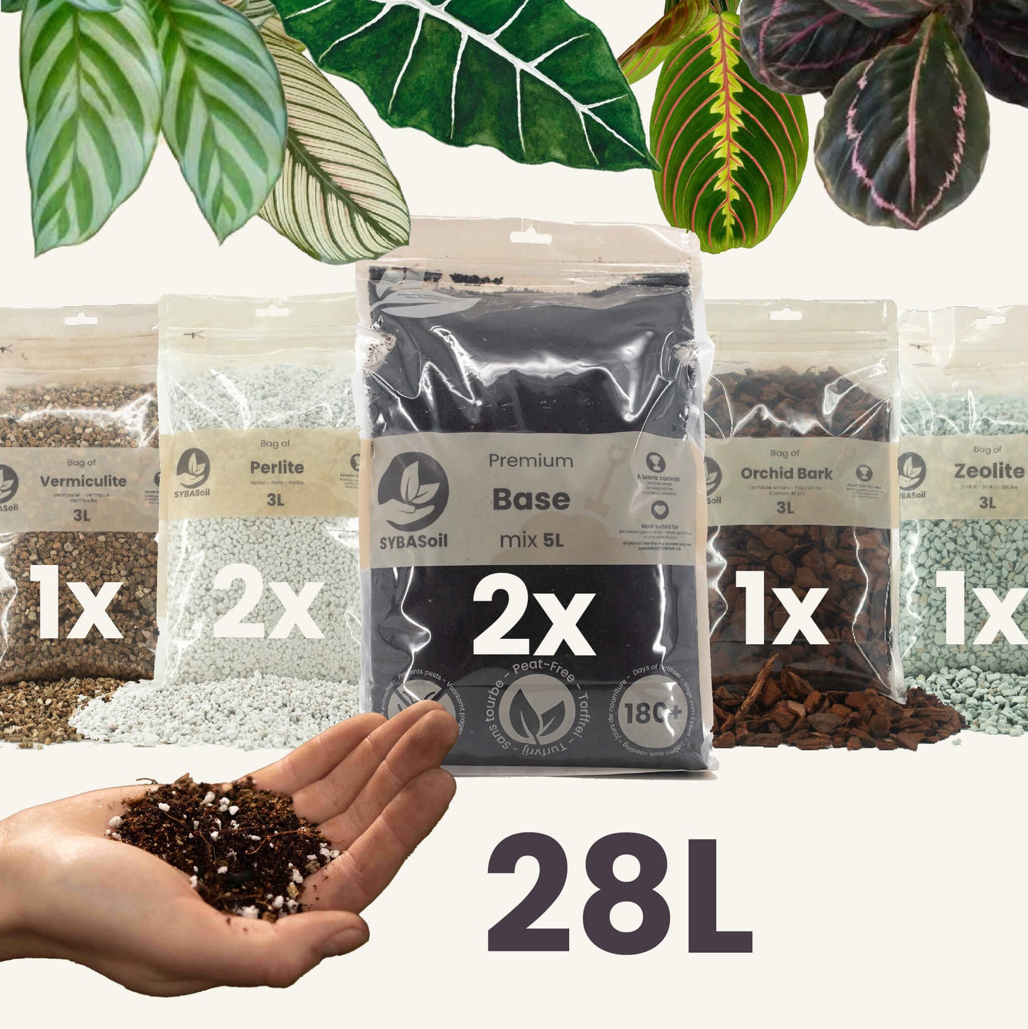 Pack spécial jungle tropicale DIY