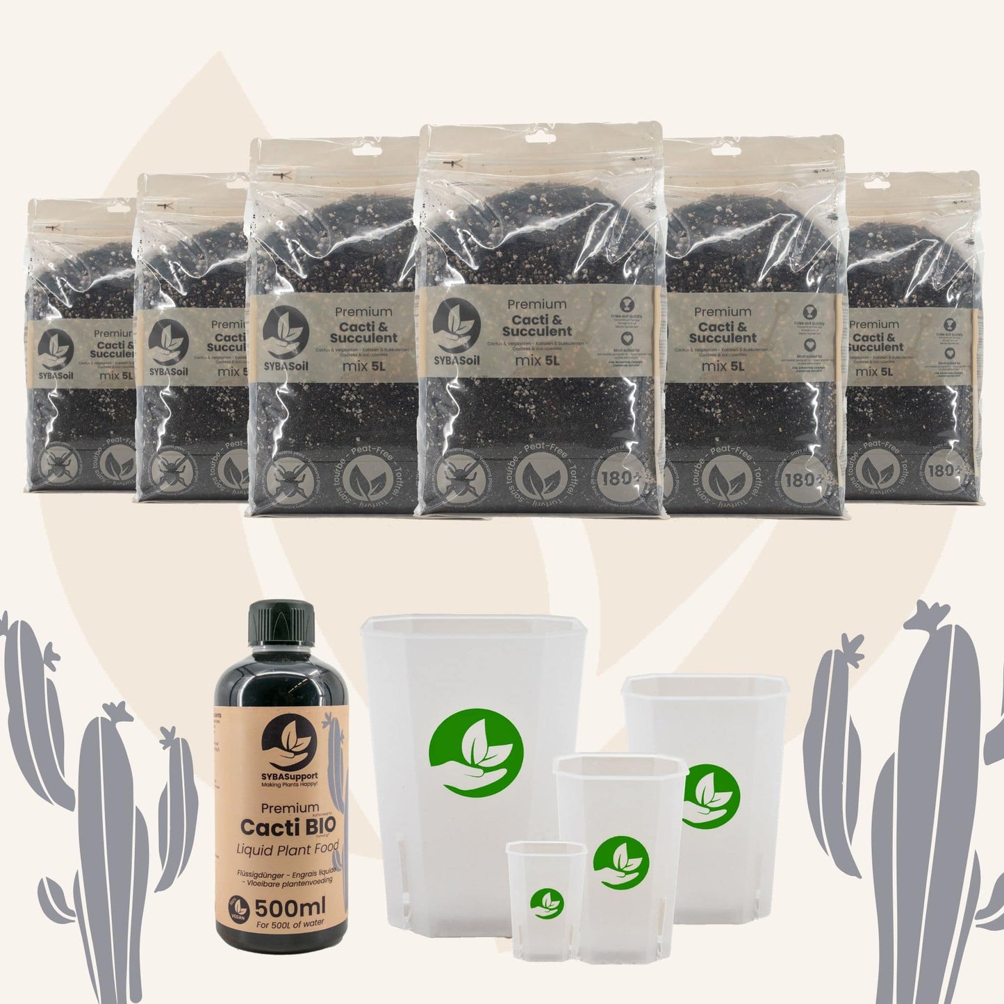 Pack de bienvenue cactées et succulentes