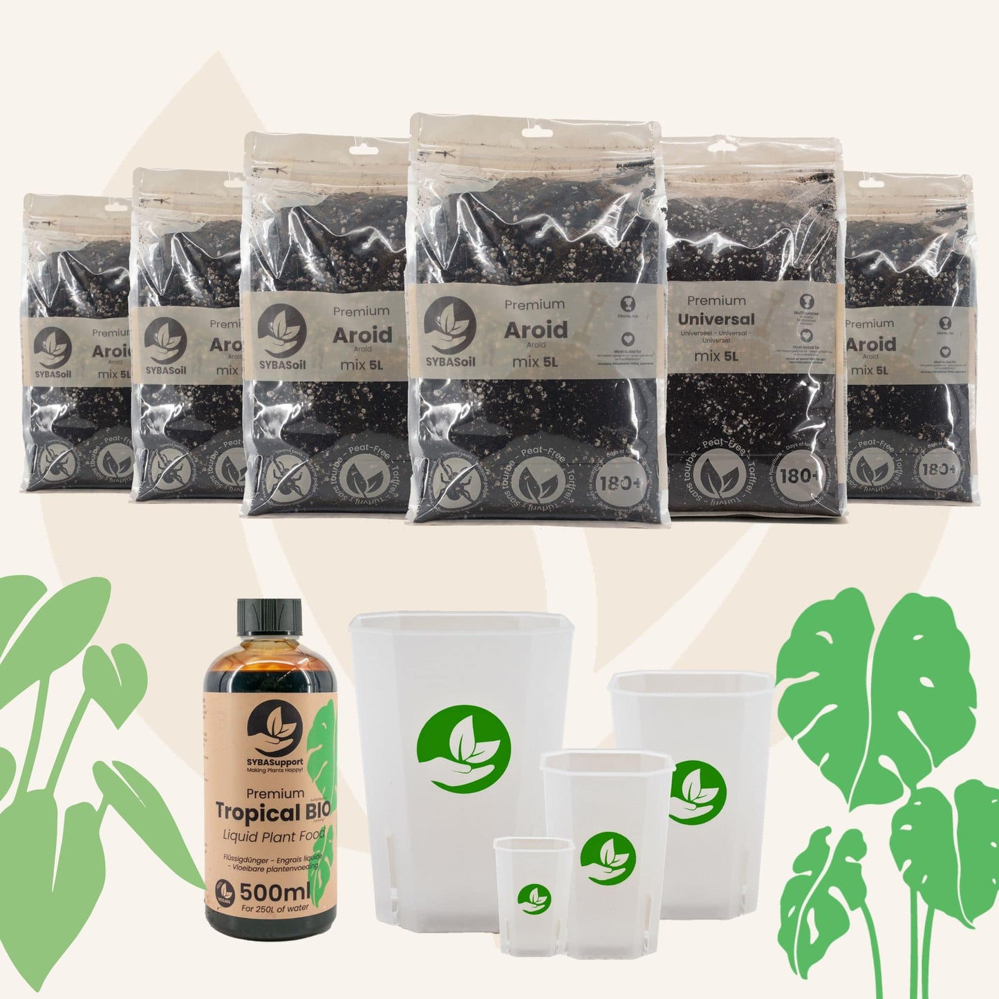 Pack de bienvenue monstera et philodendron