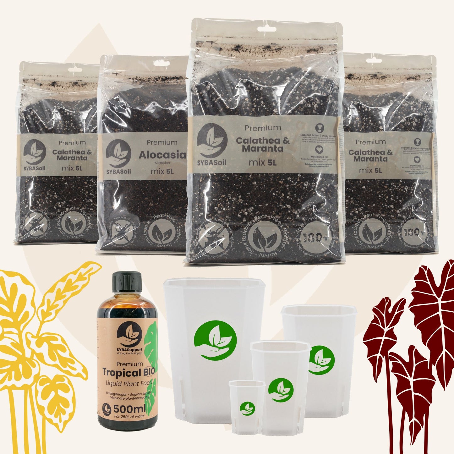 Pack de bienvenue jungle tropicale