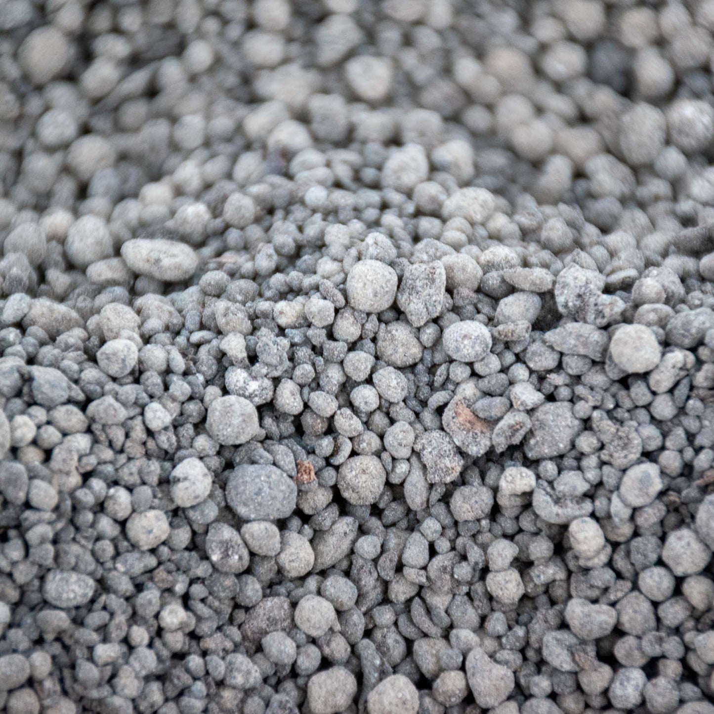 Engrais à libération lente pour orchidées