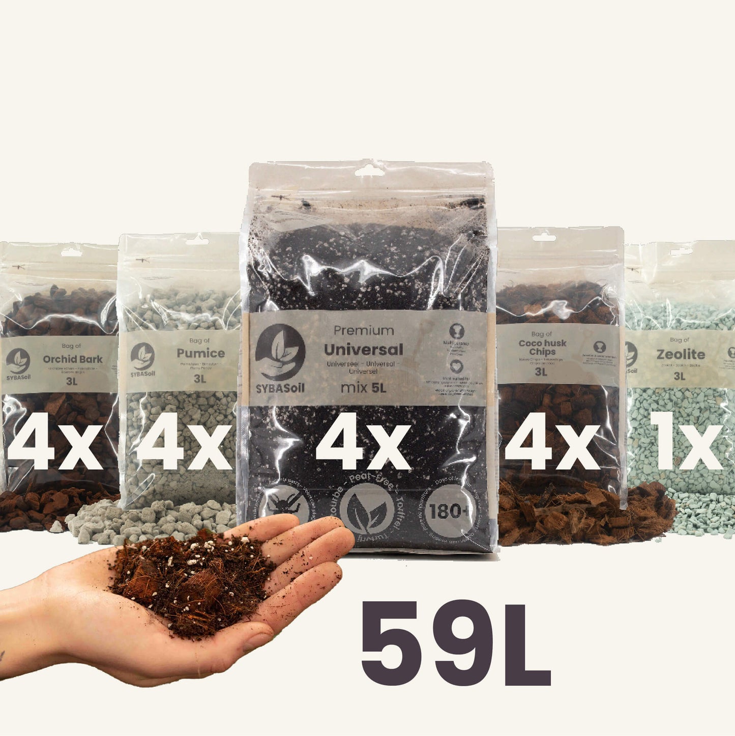 Pack XXL spécial aroïdes DIY