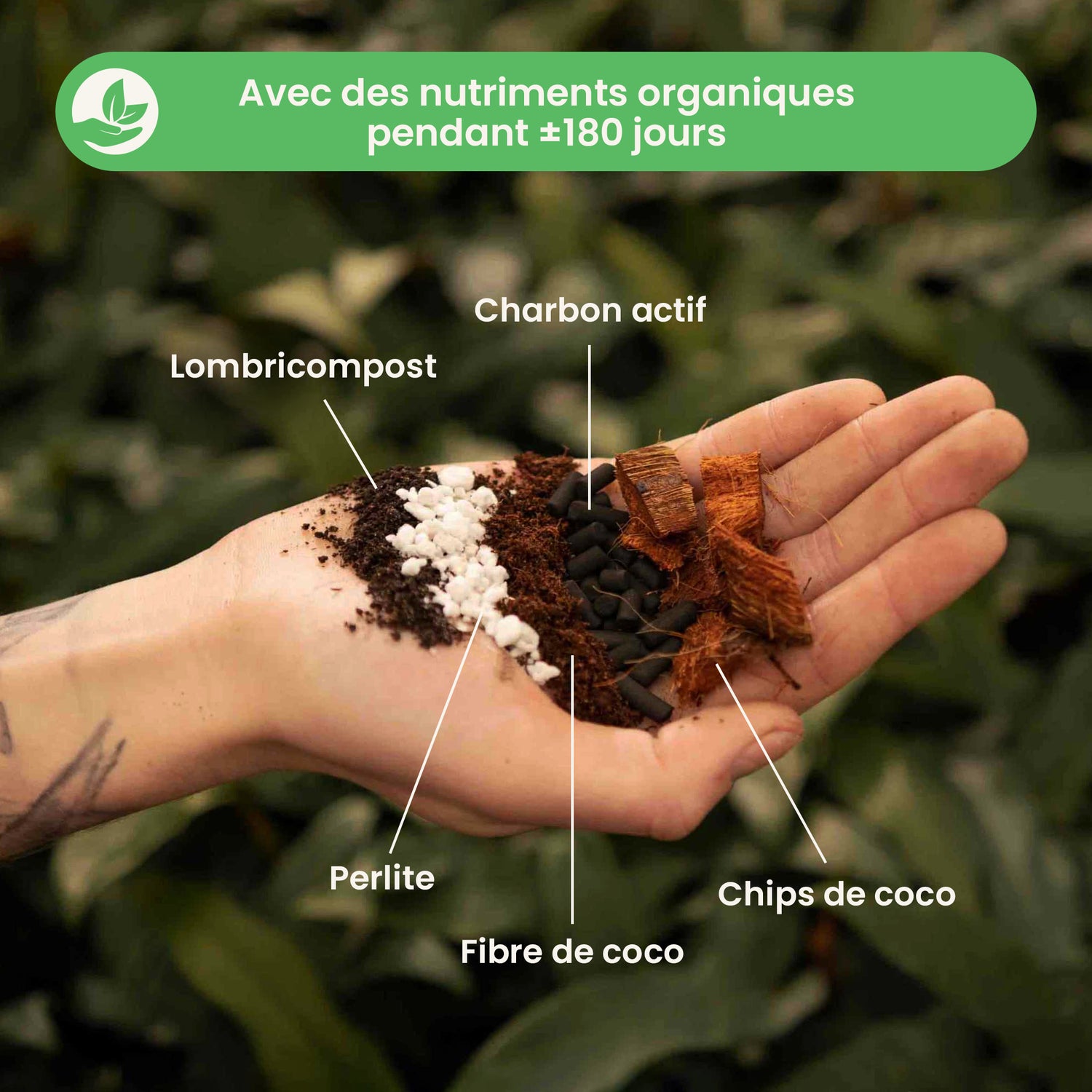 aroidmix_ingredients_fr