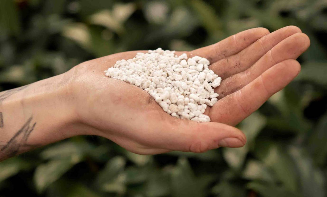 Perlite