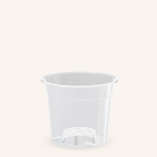 Pot transparent orchidée