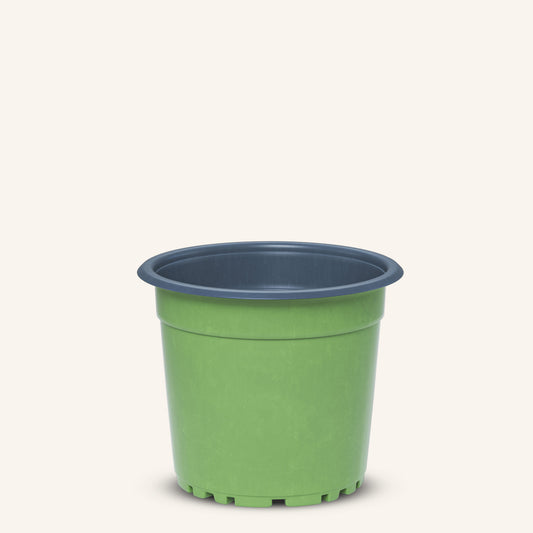 Pot de culture vert