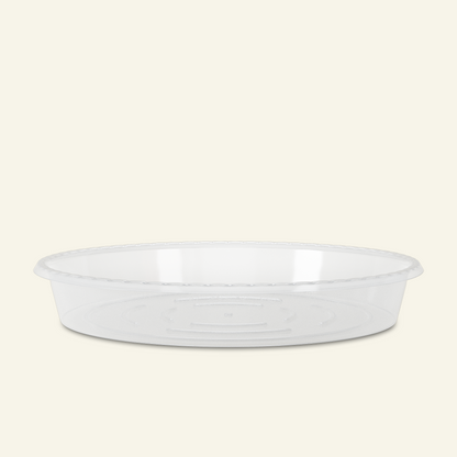 Soucoupe Transparent