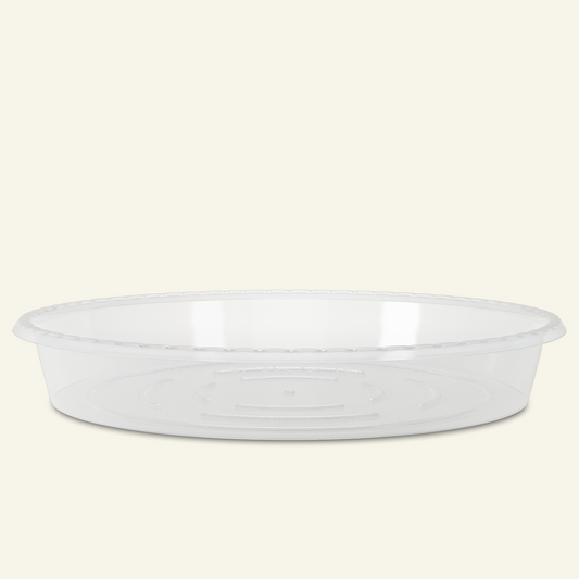 Soucoupe Transparent