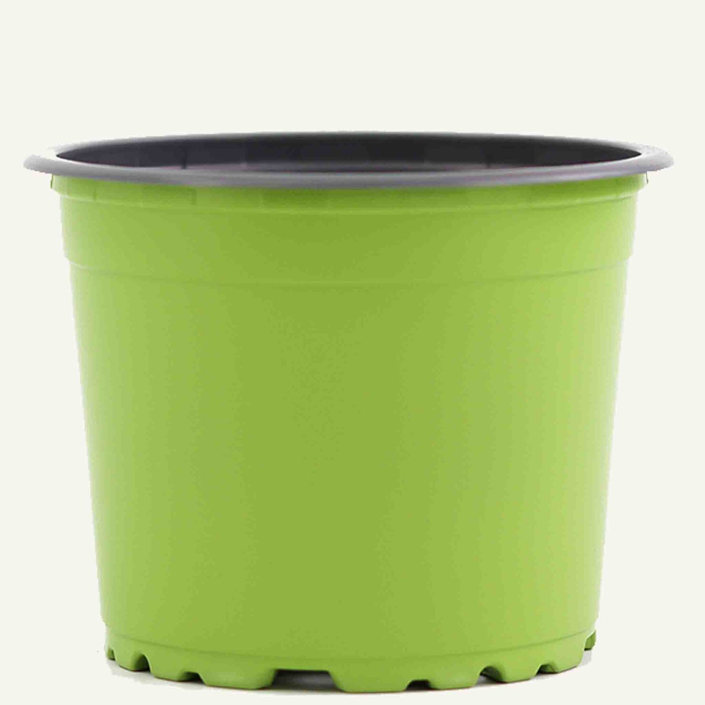Pot de pépinière vert