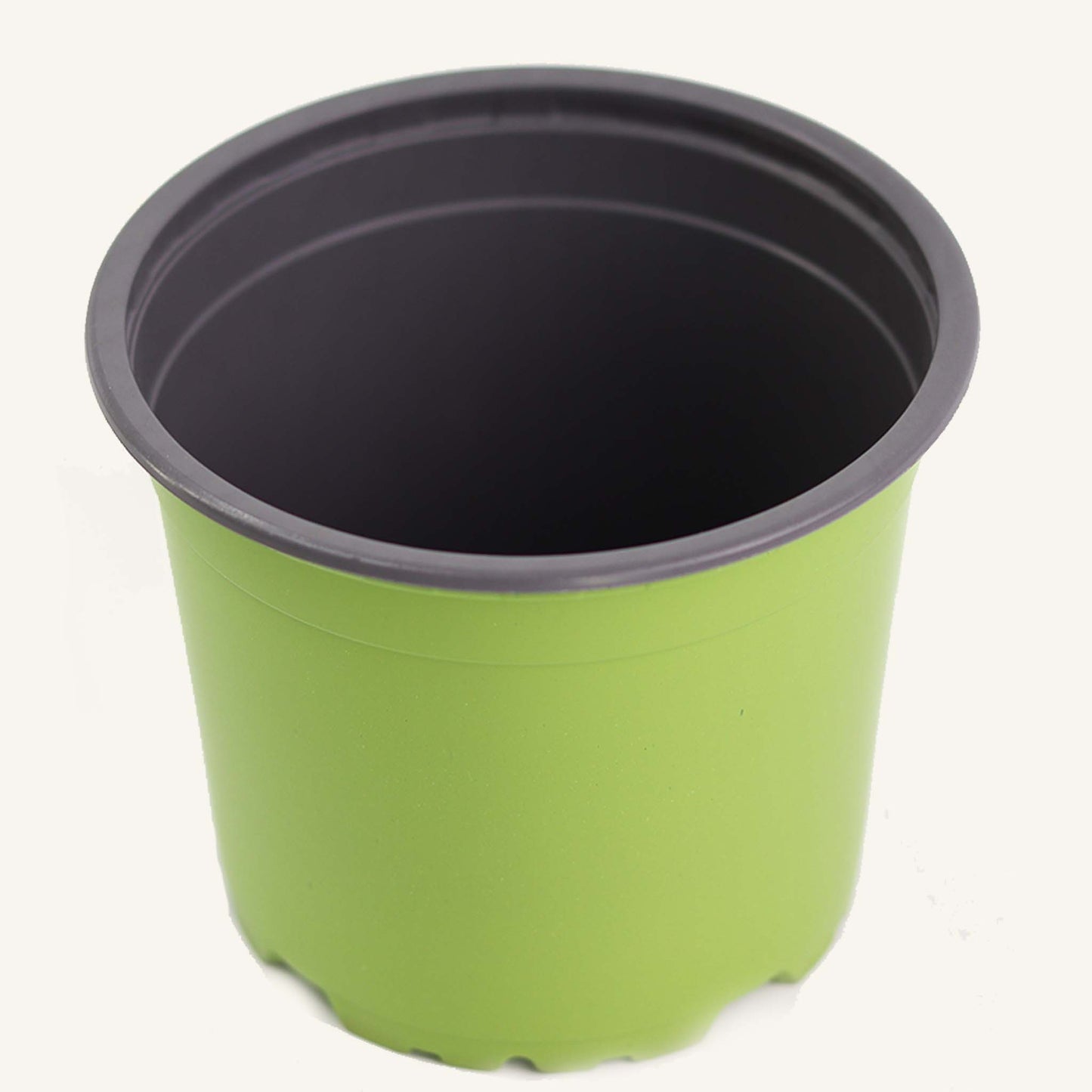 Pot de pépinière vert
