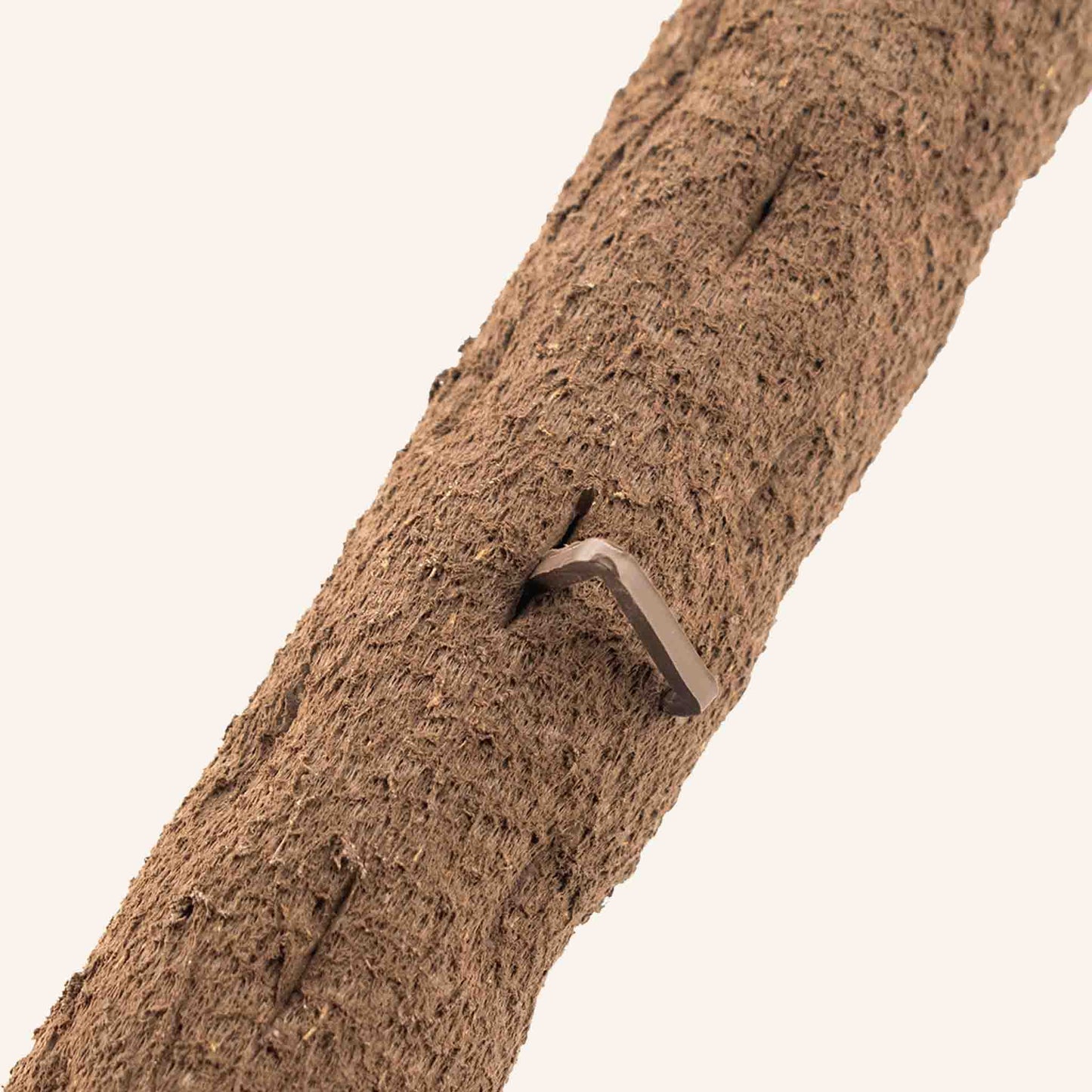 Tuteur Plante biosourcée