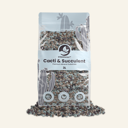 Cactus et Succulentes Minéral Mix