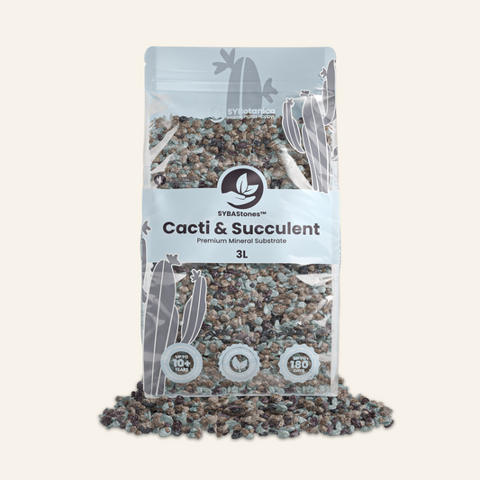 Cactus et Succulentes Minéral Mix