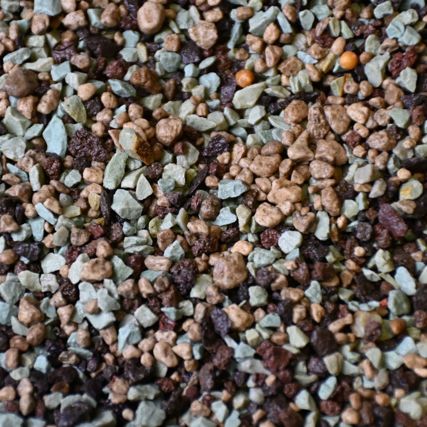 Cactus et Succulentes Minéral Mix