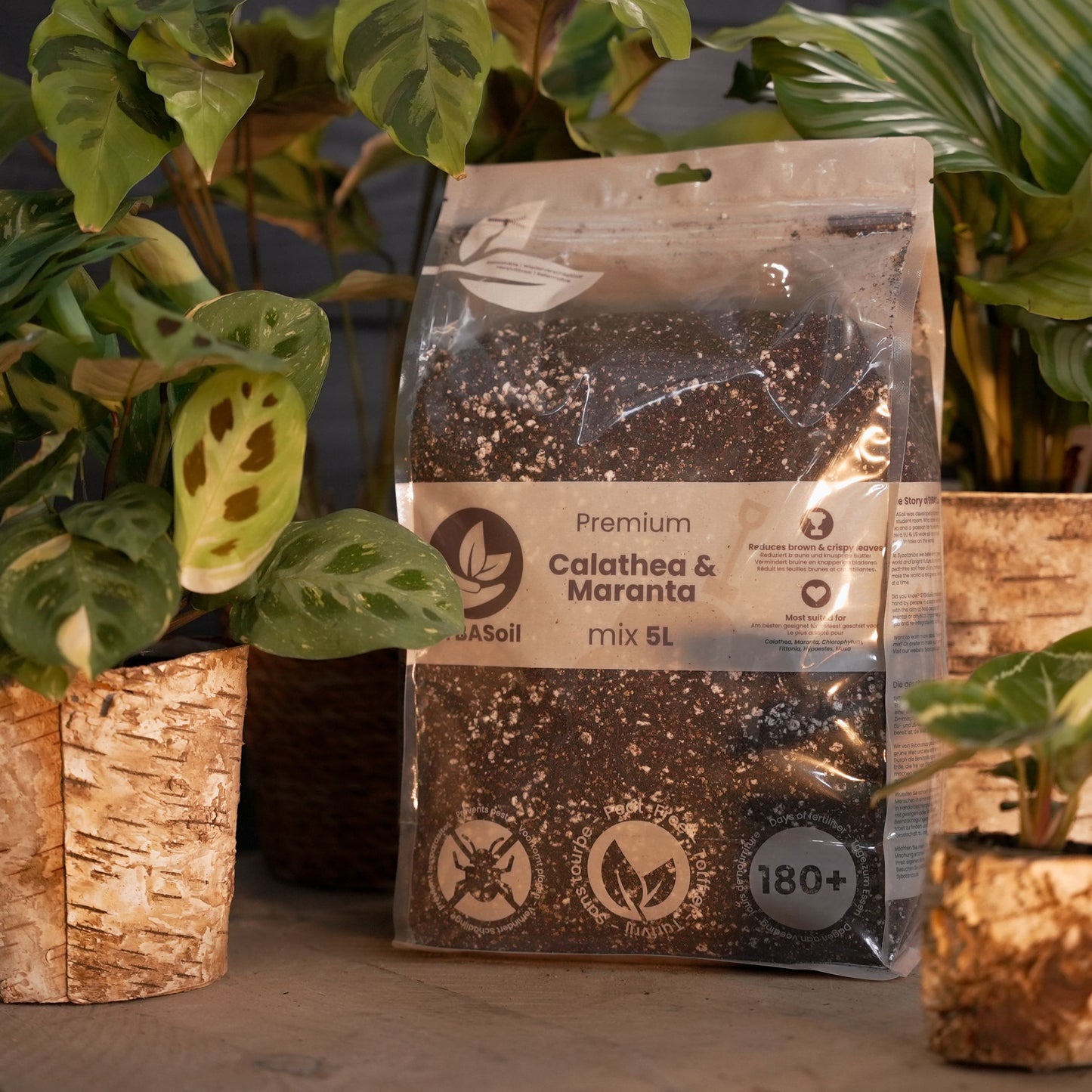 Pack de démarrage spécial jungle tropicale
