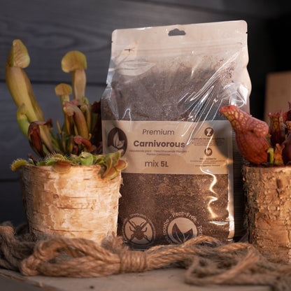 Plantes Carnivores mix