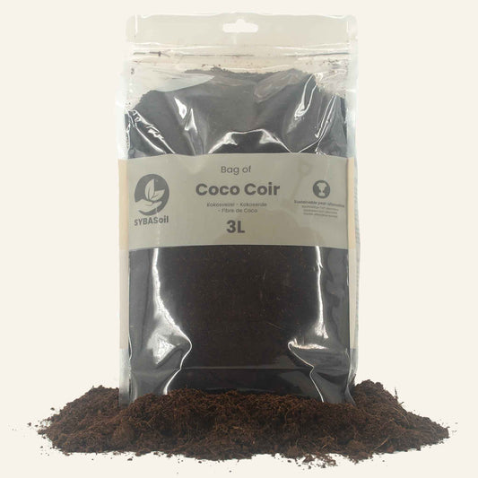 Fibre de coco