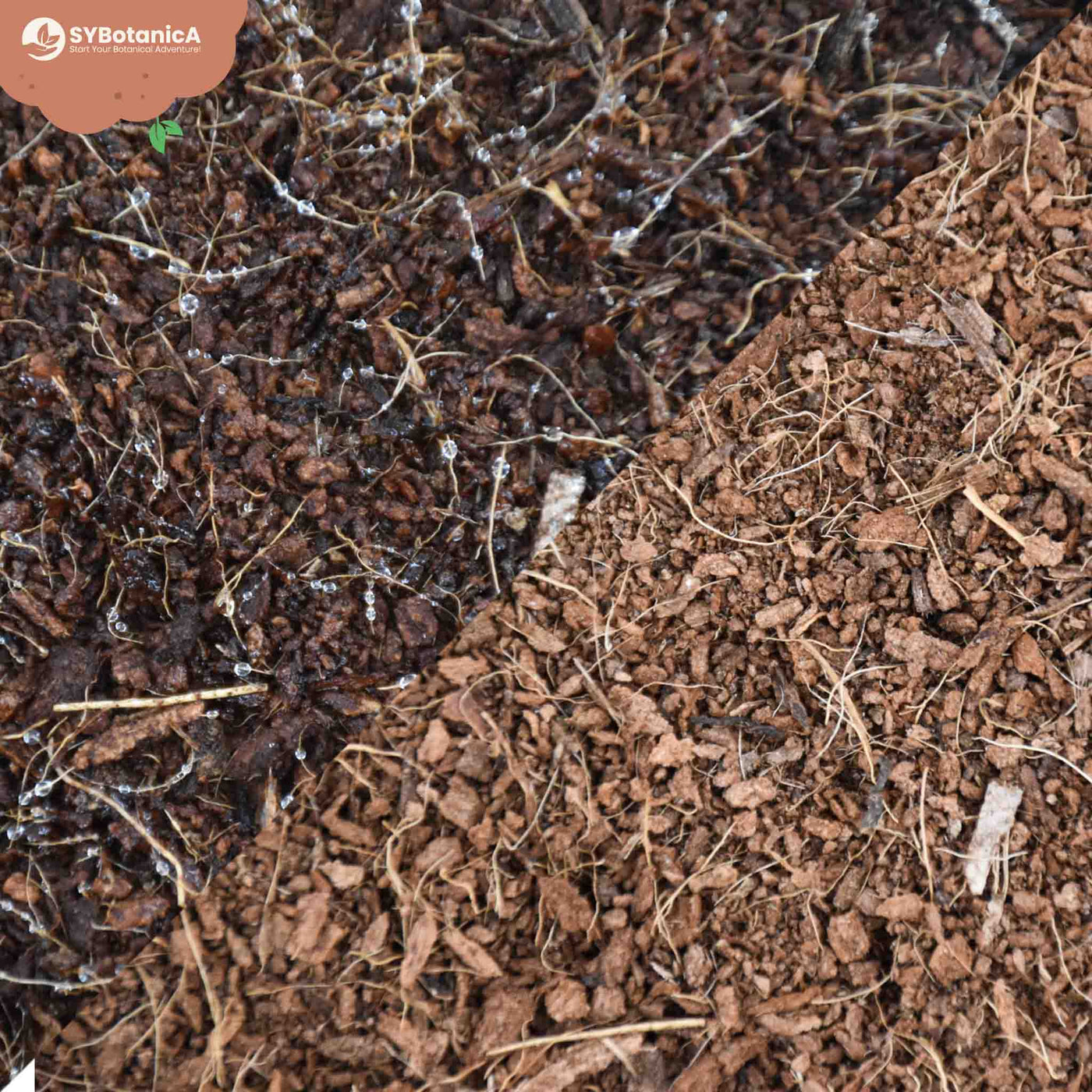 Fibre de coco