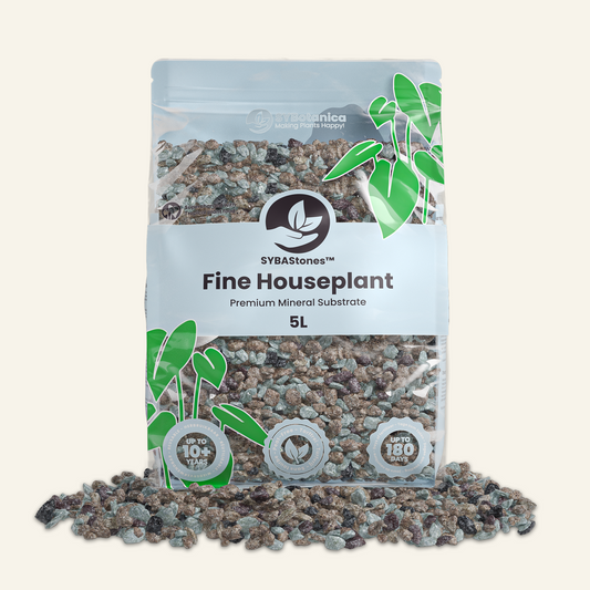Plantes d’Intérieur Minéral Mix