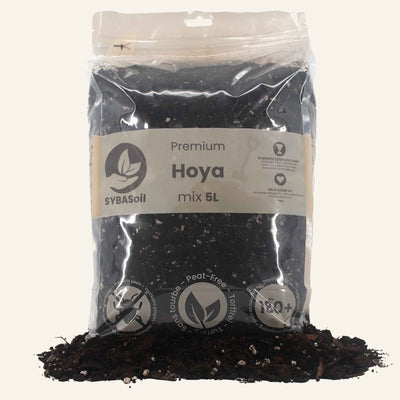 Hoya mix 