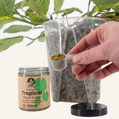 Engrais à libération lente pour plantes tropicales