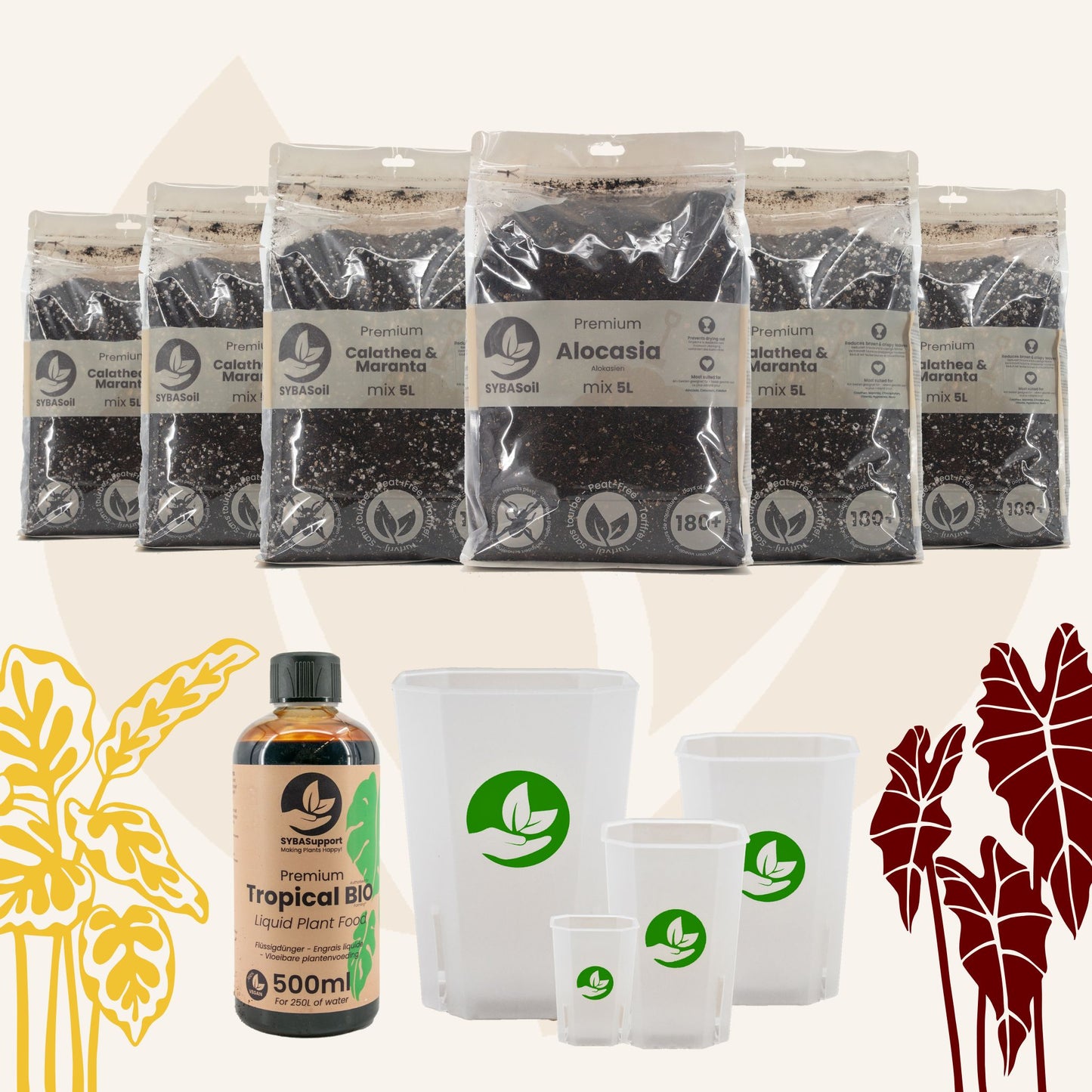 Pack de bienvenue jungle tropicale