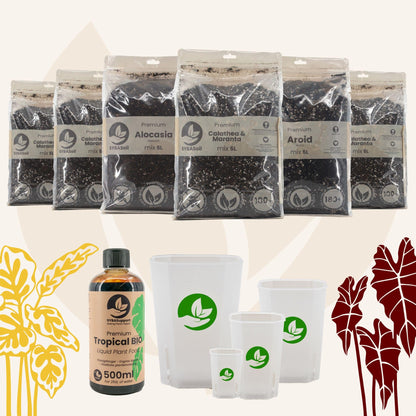 Pack de démarrage spécial jungle tropicale