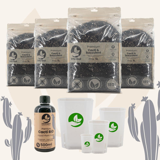 Pack spécial cactées et succulentes