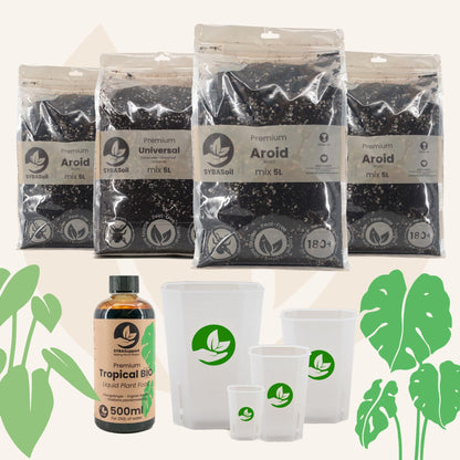 Pack spécial monstera et philodendron
