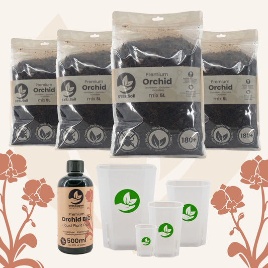 Pack spécial orchidées