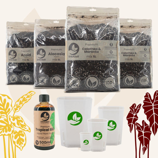 Pack de démarrage spécial jungle tropicale