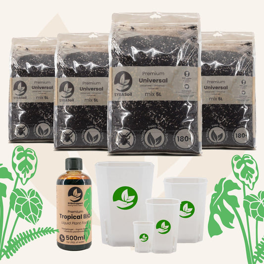 Pack de démarrage Plante Heureuse