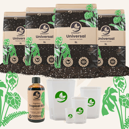 Pack de bienvenue universel