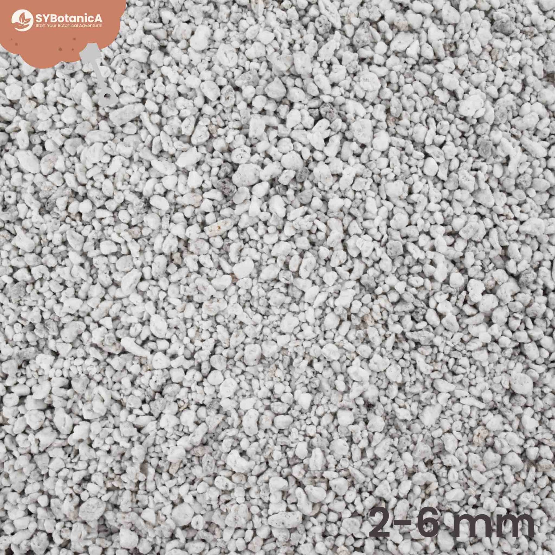 Perlite, 3L/250GR Perlite pour Plantes d'Intérieur, Perlite Horticole,  Perlite Expansée, 100% Naturelle, Perlite pour Plante Verte, Terreau pour  Plante, Blanche : : Jardin