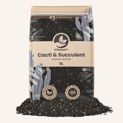 Cactées et succulentes mix 5L