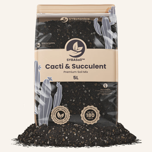 Terreau cactées et succulentes