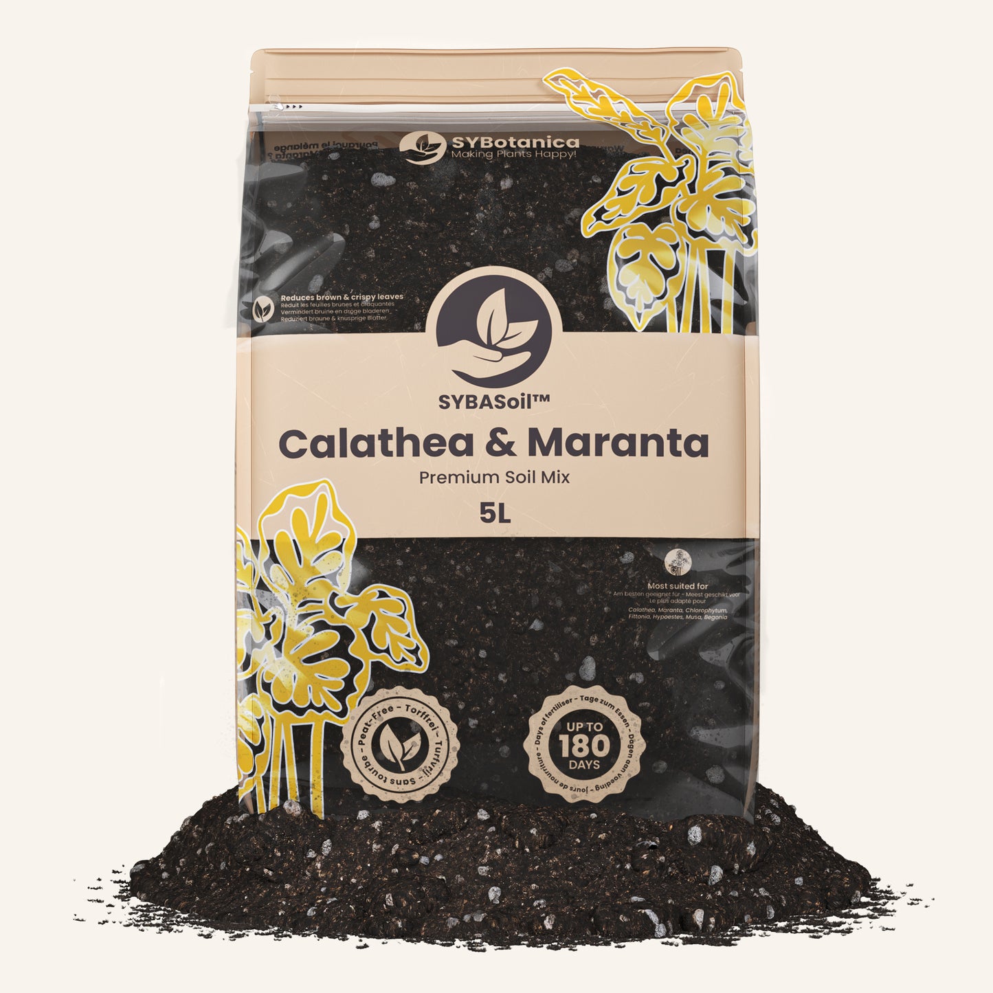 Calathea & Maranta mix 5L