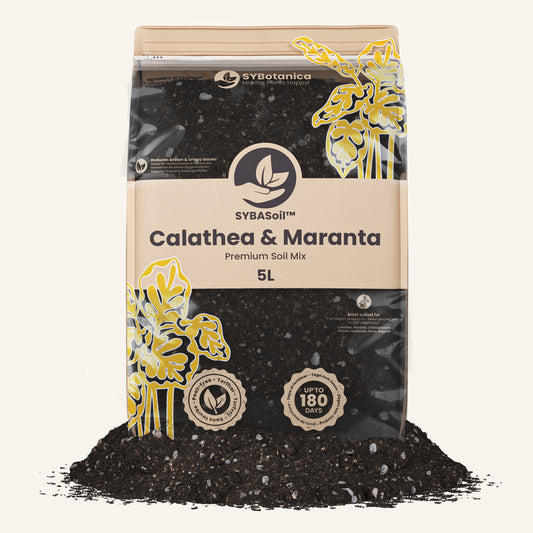 Calathea & Maranta mix 5L