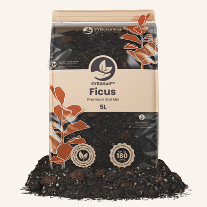 Ficus mix 5L