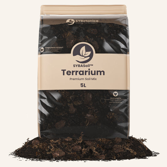 Terreau terrarium
