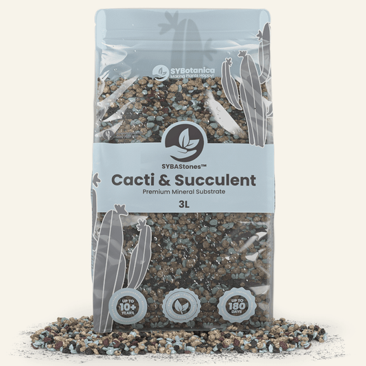 Cactus et Succulentes Minéral Mix