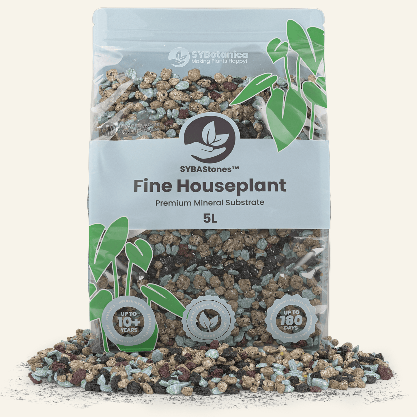 Plantes d’Intérieur Minéral Mix
