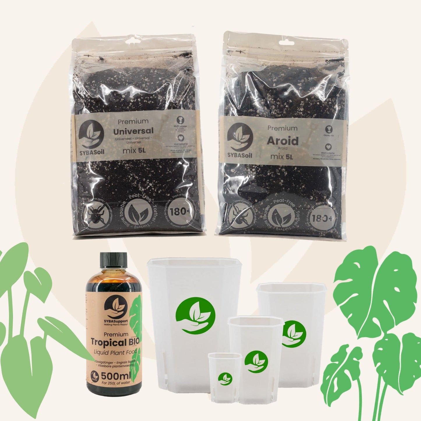 Pack spécial monstera et philodendron