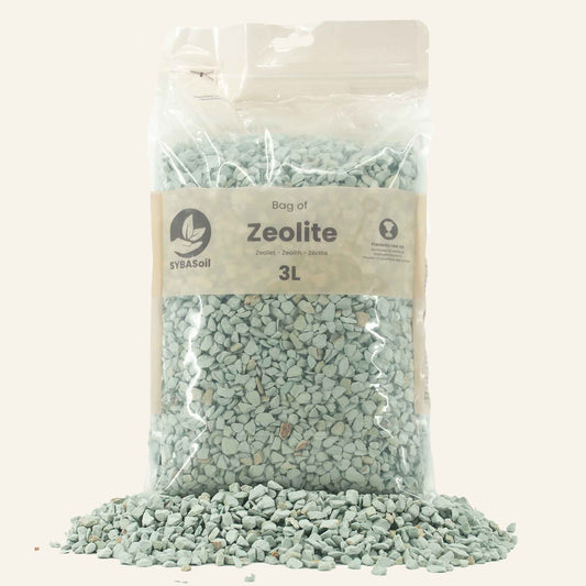 Zéolite